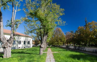 Residence Ancelle di Maria