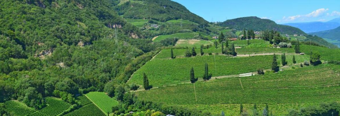 Casa di Riposo e di Degenza S. Anna