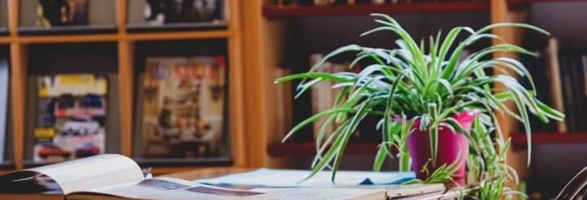 Civitas Vitae Mons. Lorenzo Crico