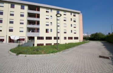 RSA Pindaro