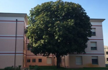 RSA Rodigo